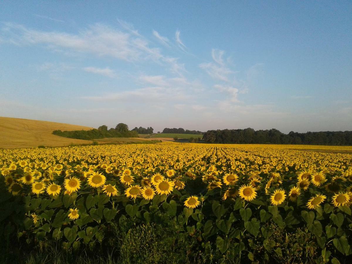 Fleur Du Soleil Villa Agudelle Buitenkant foto