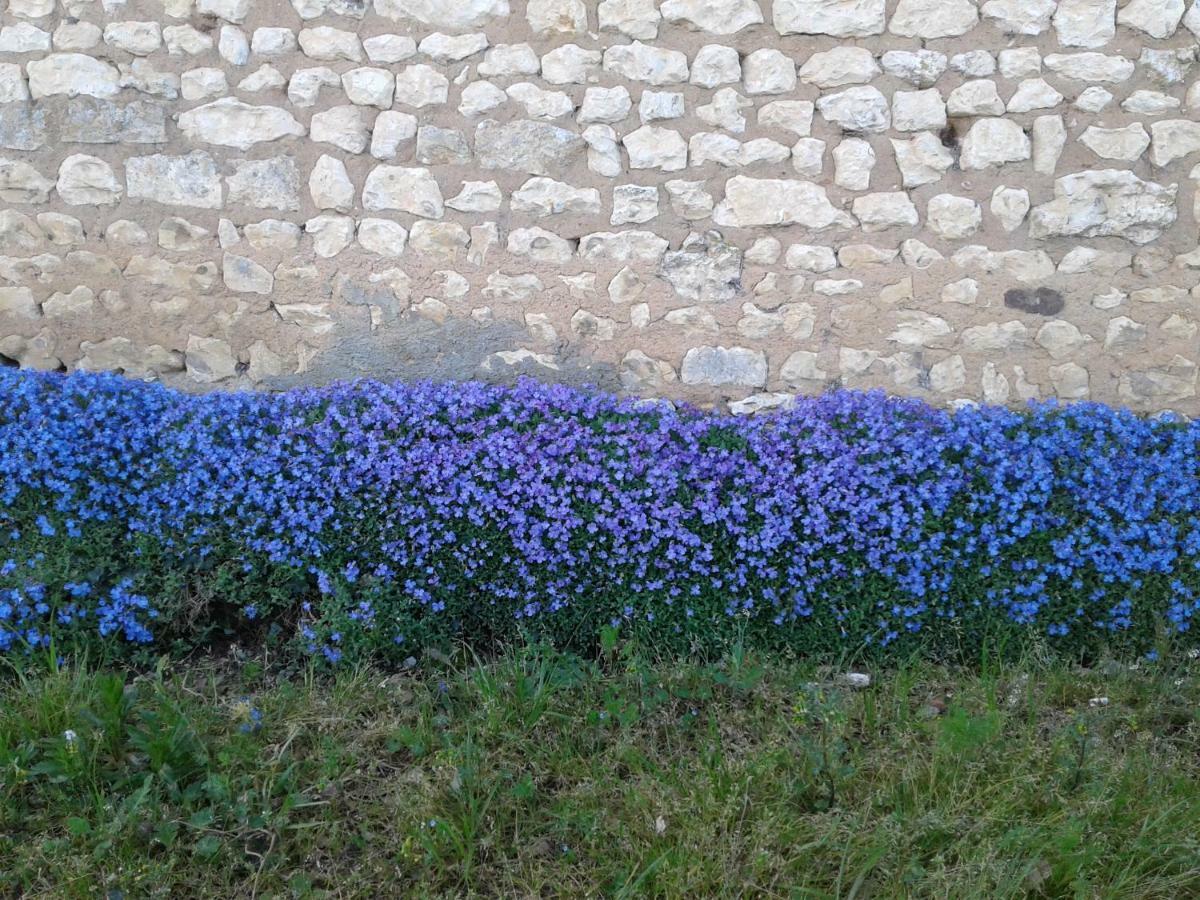 Fleur Du Soleil Villa Agudelle Buitenkant foto